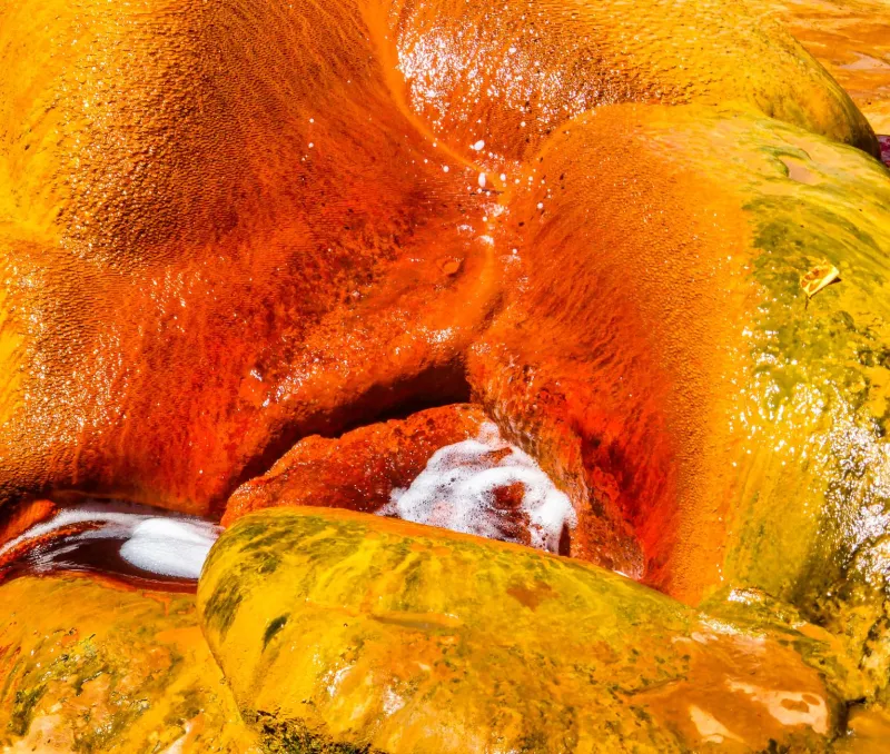 Not All Spring Water Is Created Equal: The Science Behind Bulgaria's Uniquely Absorbable Mineral Profile